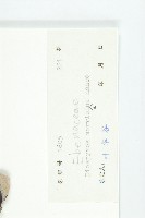 山紅柿藏品圖，第6張