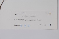 七層樓藏品圖，第2張