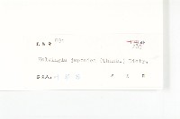 青莢葉藏品圖，第3張