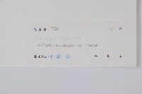 薄葉細辛、尾花細辛藏品圖，第2張