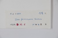 糊樗藏品圖，第2張