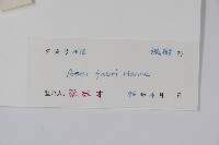 紅翅槭藏品圖，第2張