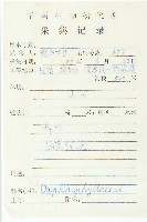 俄氏虎皮楠、蘭嶼虎皮楠、虎皮楠藏品圖，第2張