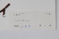 登錄號:S039169藏品圖，第2張