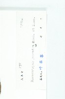 薯豆藏品圖，第3張