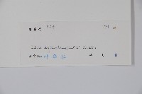 廣東冬青藏品圖，第2張