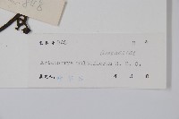 登錄號:S039190藏品圖，第2張