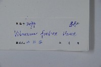 南方莢迷藏品圖，第2張