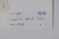 烏欖藏品圖，第2張