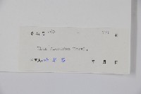 臺灣糊樗藏品圖，第2張