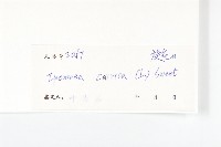 番仔藤藏品圖，第3張