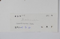 登錄號:S039312藏品圖，第2張