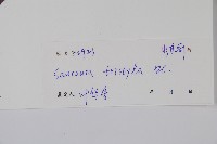 水東哥藏品圖，第2張