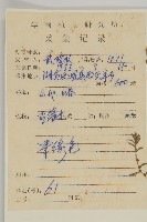 地膚、掃手草藏品圖，第2張