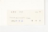 梜木藏品圖，第3張