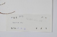 登錄號:S039491藏品圖，第2張