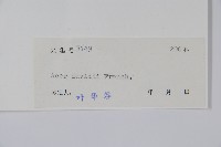 青榨槭藏品圖，第2張