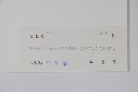 銅錘玉帶草藏品圖，第2張