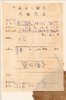 齒葉橐吾藏品圖，第2張