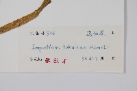 登錄號:S039630藏品圖，第2張