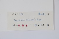 華鳳仙藏品圖，第2張