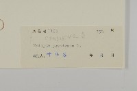 鱧腸藏品圖，第3張