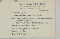 交趾衛矛藏品圖，第2張