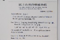 臺灣牛皮消、臺灣白薇藏品圖，第2張