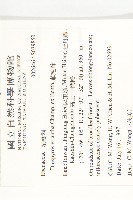 軟毛柿藏品圖，第2張