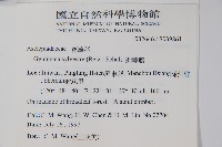 武靴藤藏品圖，第2張