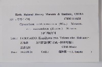 登錄號:S039893藏品圖，第2張