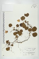 登錄號:S039917藏品圖，第1張