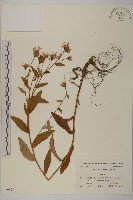 登錄號:S039925藏品圖，第1張