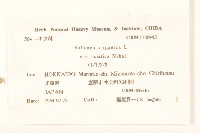 登錄號:S039927藏品圖，第2張