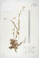 登錄號:S039952藏品圖，第1張