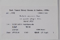 登錄號:S039954藏品圖，第2張