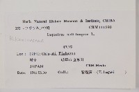 水金鳳藏品圖，第2張