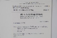 松田氏冬青藏品圖，第2張