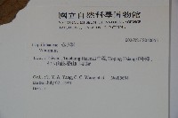 登錄號:S040055藏品圖，第2張