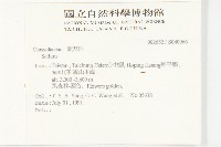 登錄號:S040066藏品圖，第2張