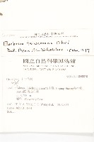 臺灣山芥菜藏品圖，第2張