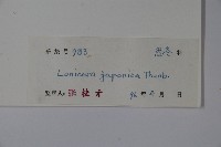 忍冬、金銀花藏品圖，第2張