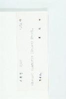 猴歡喜藏品圖，第3張