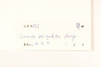 登錄號:S040182藏品圖，第3張