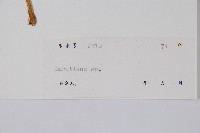 登錄號:S040202藏品圖，第2張