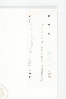 管花胡頹子藏品圖，第3張