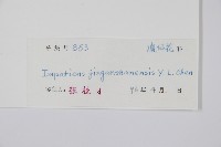 登錄號:S040250藏品圖，第2張