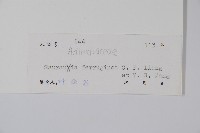 登錄號:S040327藏品圖，第2張