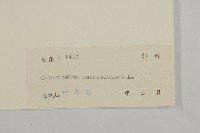 臭杏、土荊芥藏品圖，第3張