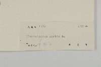 燈豎朽藏品圖，第3張